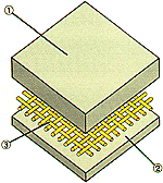 promax-5.GIF (16757 bytes)