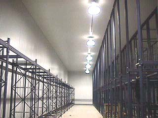 Rack and HID Low-Temp Lighting