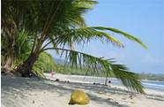 Campus in Beach