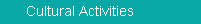 Cultural Activity
