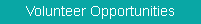 Volunteer Oportunity