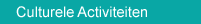 Cultural Activity