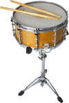 Snare